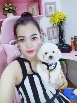 Chó Poodle - PM 15006